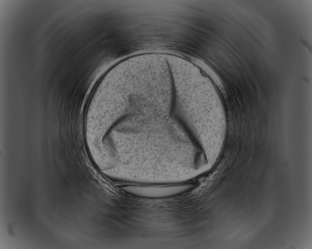 X0000097491004200803201526