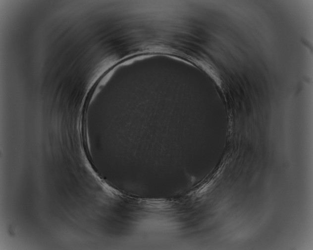 X0000097491007200803201526