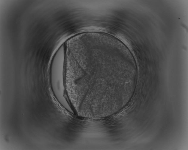 X0000097491008200803201526