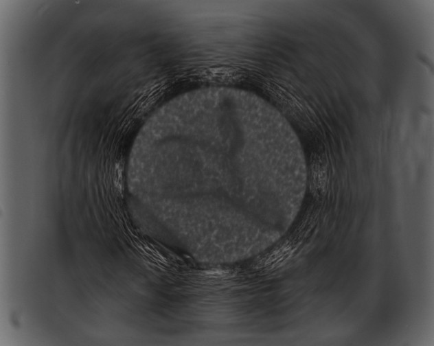 X0000097491010200803201526