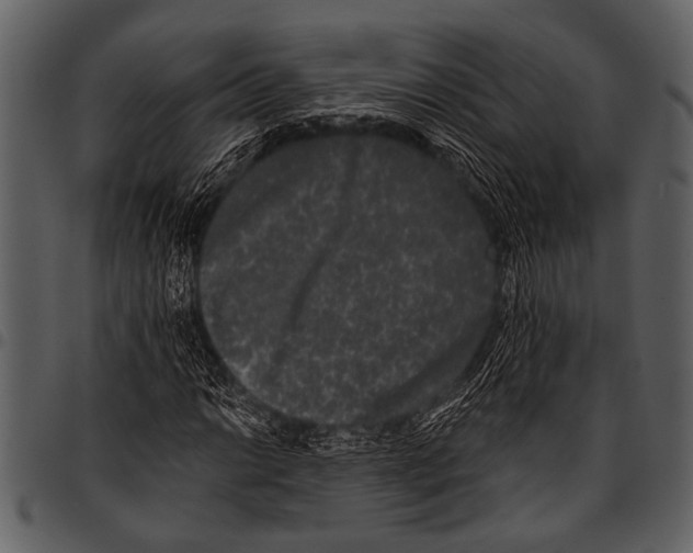 X0000097491014200803201526