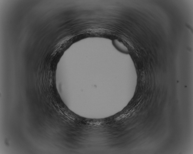 X0000097491016200803201526