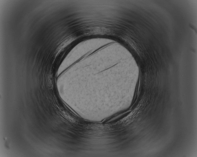 X0000097491018200803201526