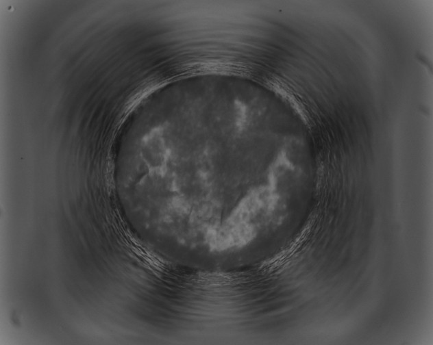 X0000097491019200803201526