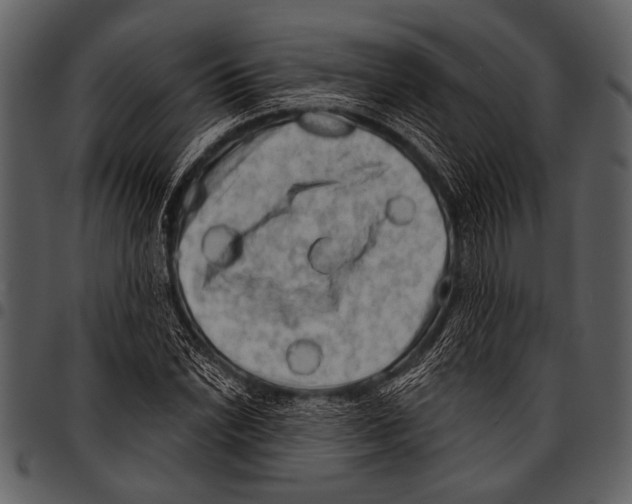 X0000097491022200803201526