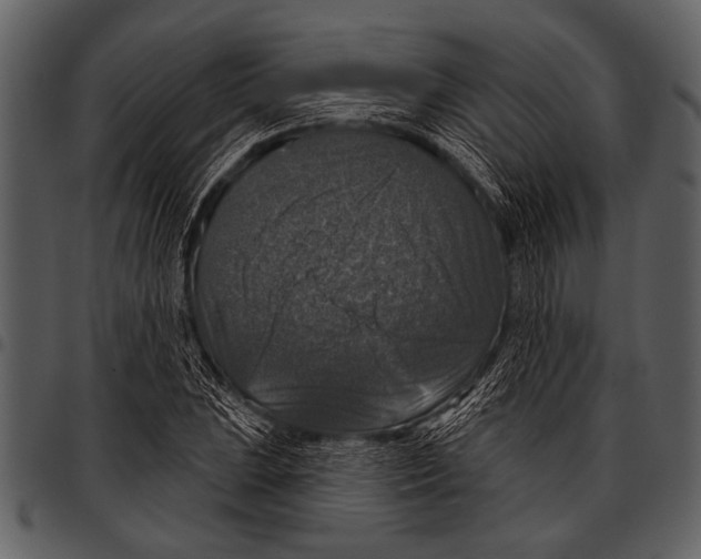 X0000097491023200803201526