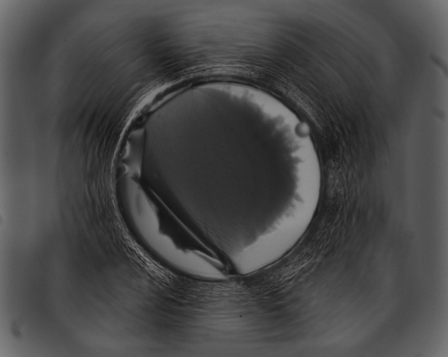 X0000097491024200803201526