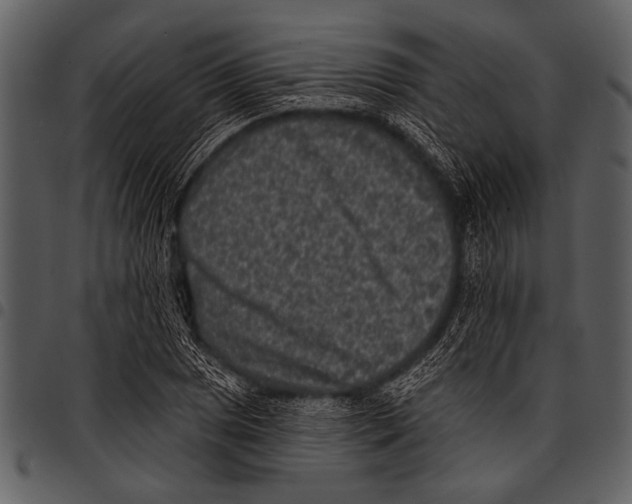 X0000097491025200803201526