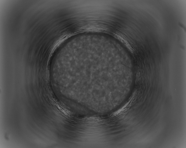 X0000097491027200803201526