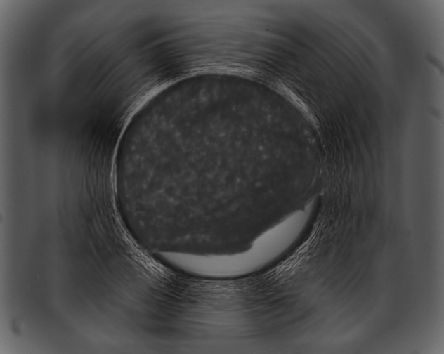 X0000097491028200803201526