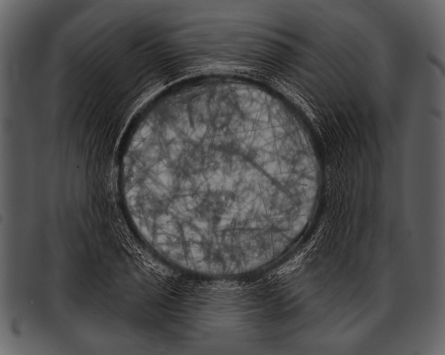 X0000097491029200803201526
