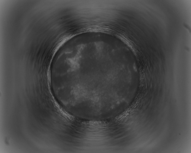 X0000097491032200803201526