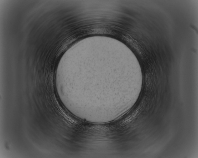 X0000097491033200803201526