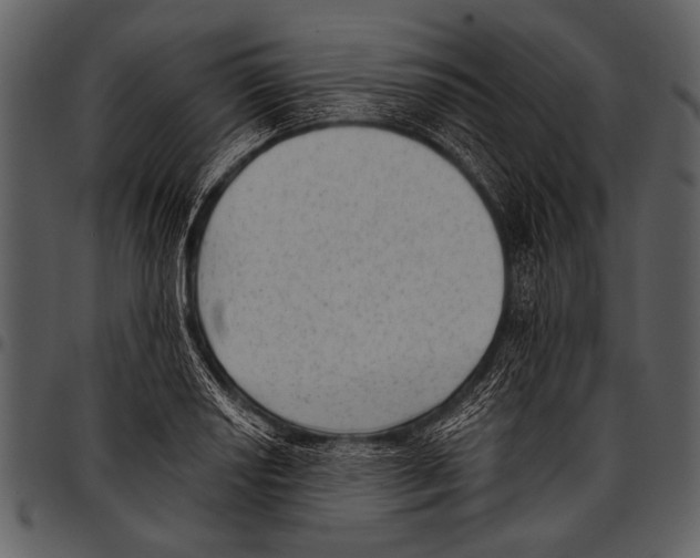 X0000097491034200803201526