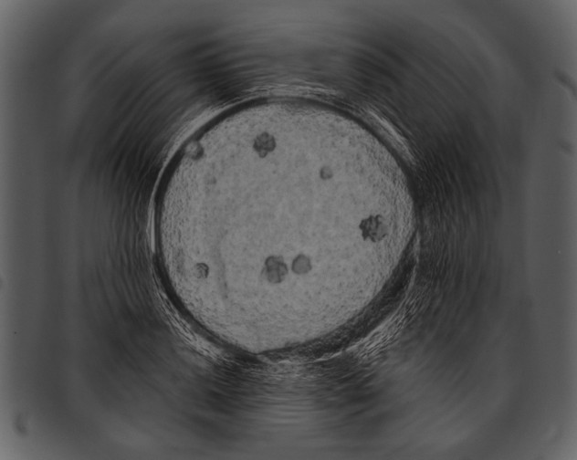 X0000097491036200803201526