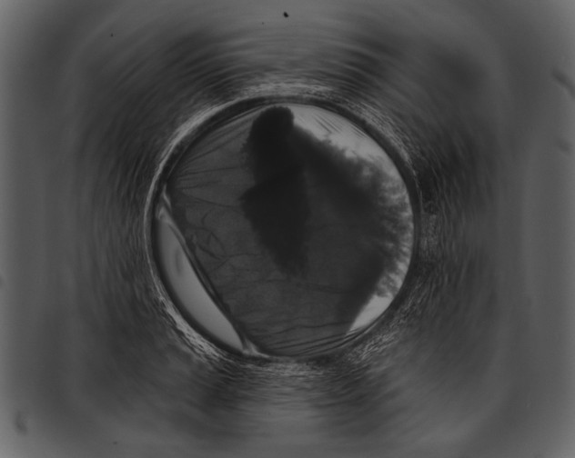 X0000097491037200803201526