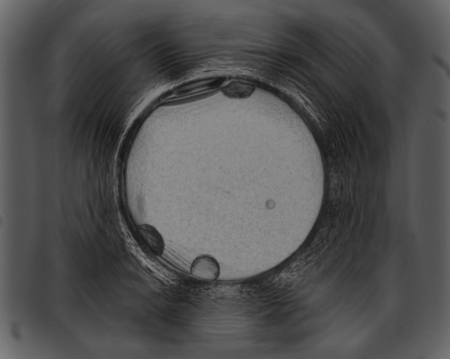 X0000097491038200803201526