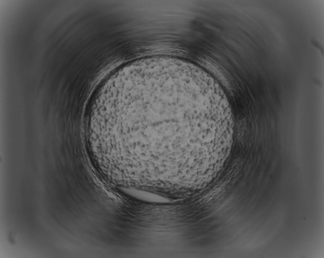 X0000097491043200803201526