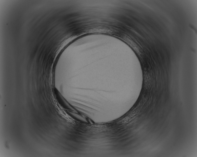 X0000097491044200803201526