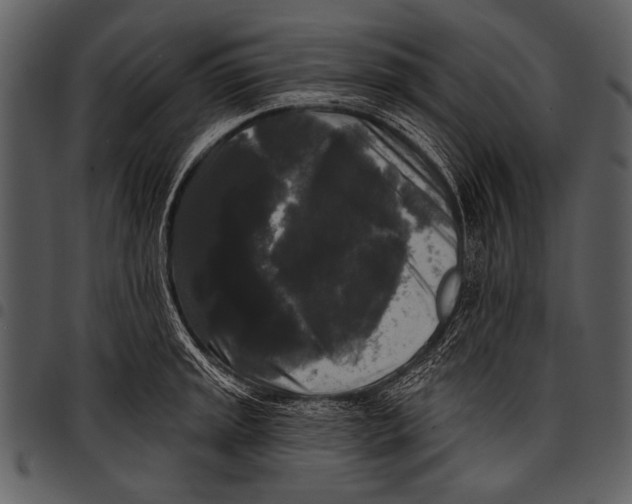 X0000097491045200803201526