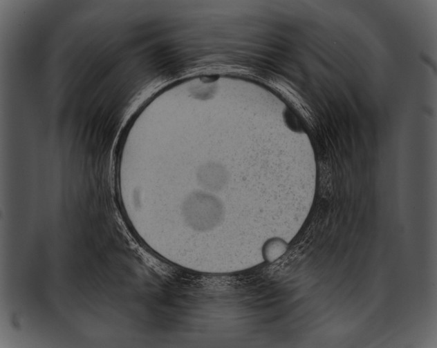 X0000097491046200803201526