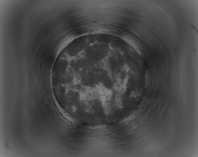 X0000097491047200803201526