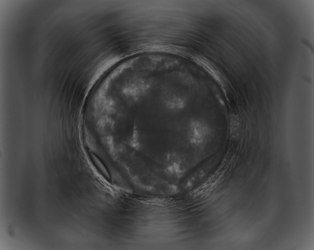 X0000097491048200803201526