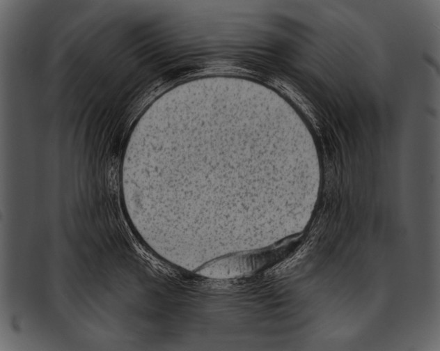 X0000097491049200803201526