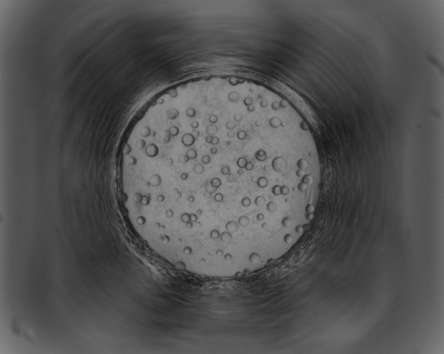 X0000097491051200803201526