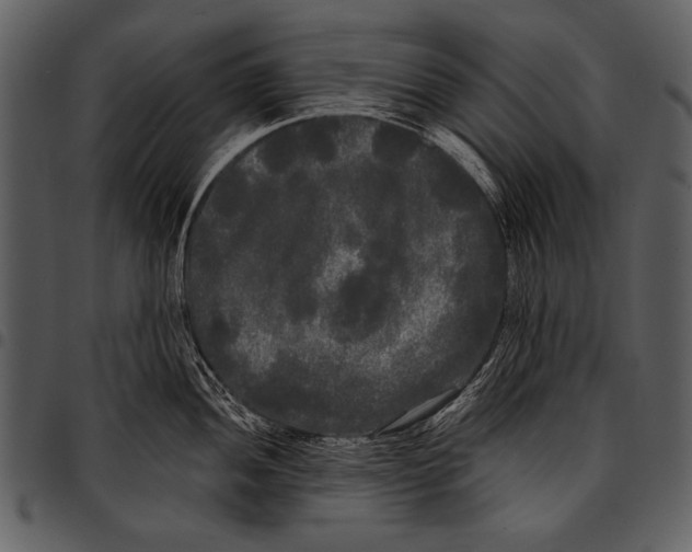 X0000097491052200803201526