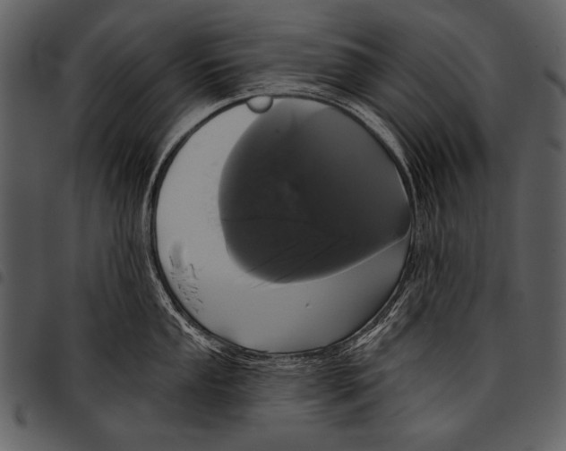 X0000097491053200803201526