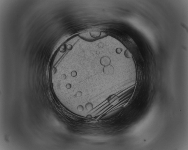 X0000097491054200803201526