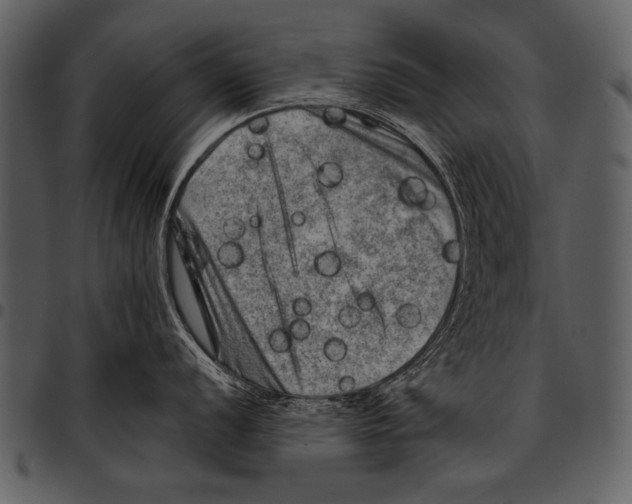 X0000097491056200803201526