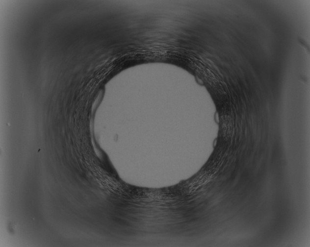 X0000097491057200803201526