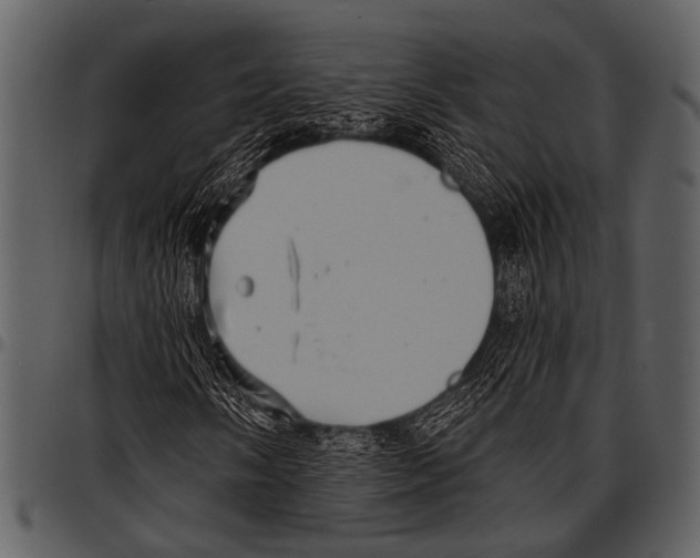 X0000097491058200803201526