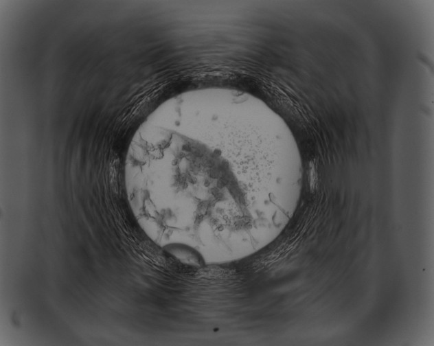 X0000097491059200803201526