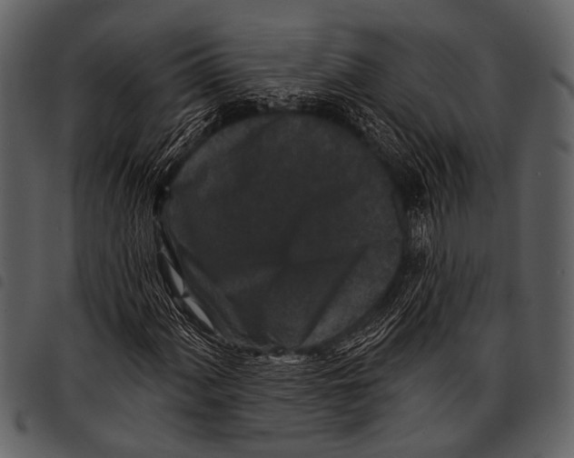 X0000097491060200803201526