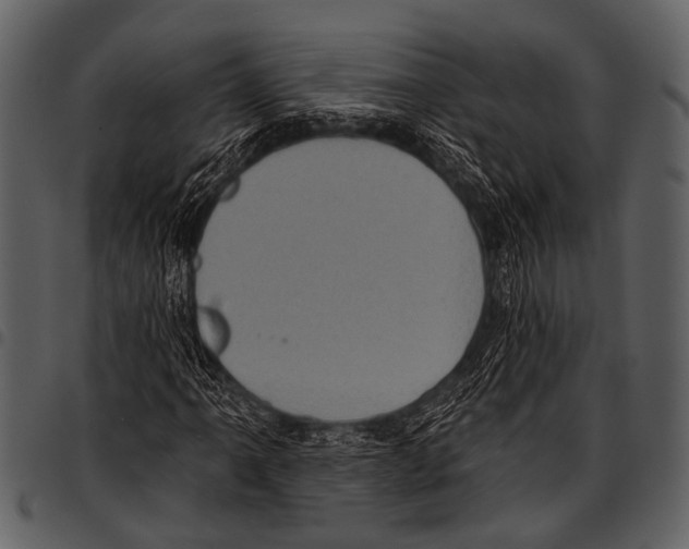 X0000097491061200803201526