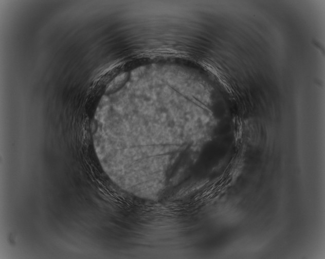 X0000097491063200803201526