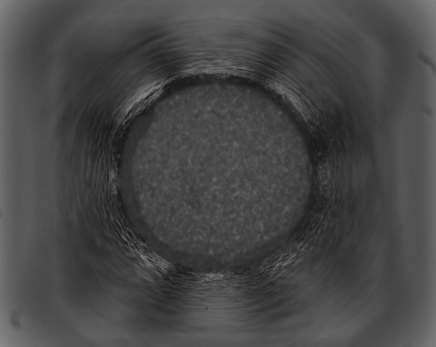 X0000097491064200803201526