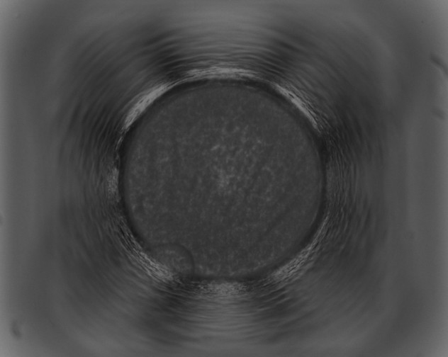 X0000097491066200803201526