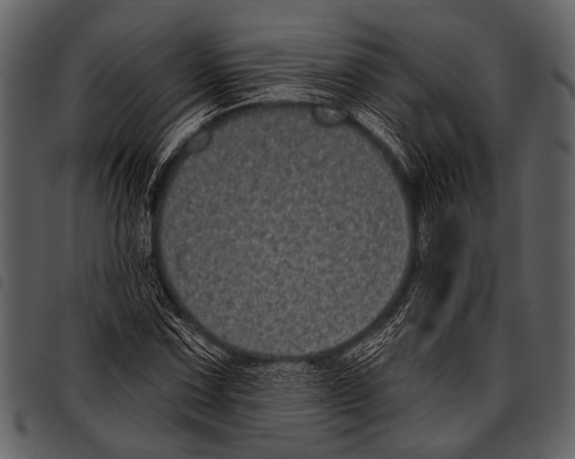 X0000097491067200803201526