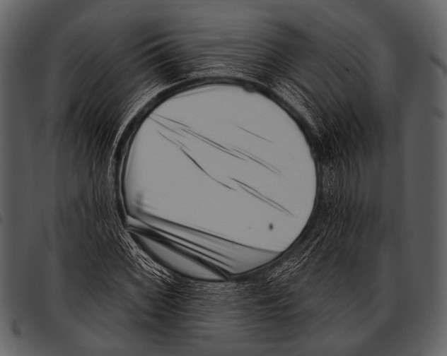 X0000097491068200803201526