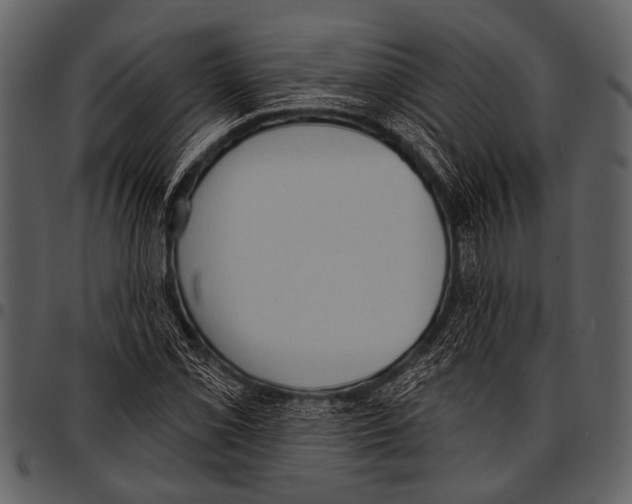 X0000097491069200803201526