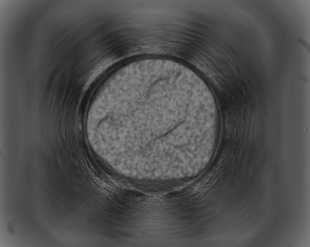 X0000097491070200803201526