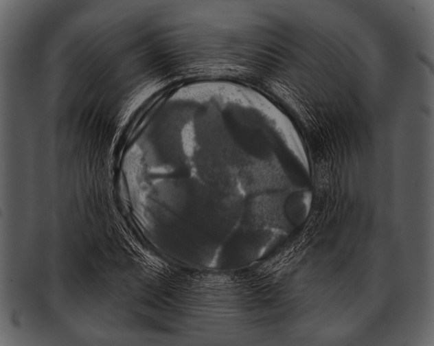 X0000097491071200803201526