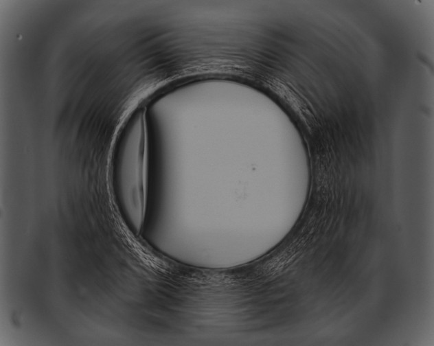 X0000097491072200803201526