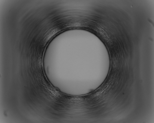 X0000097491073200803201526