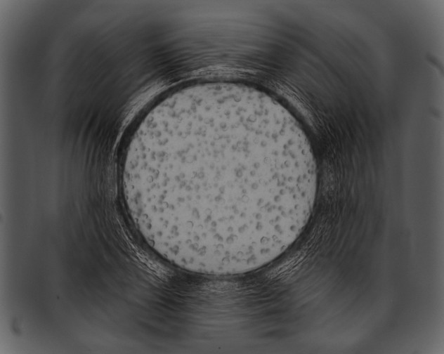 X0000097491075200803201526