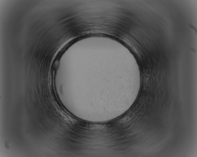 X0000097491076200803201526